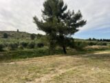 Maison à construire à Eyguières (13430) 2538384-11073annonce120260607ANHbb.jpeg Maisons France Confort