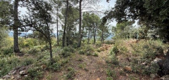 Terrain à bâtir à Solliès-Toucas, Provence-Alpes-Côte d'Azur
