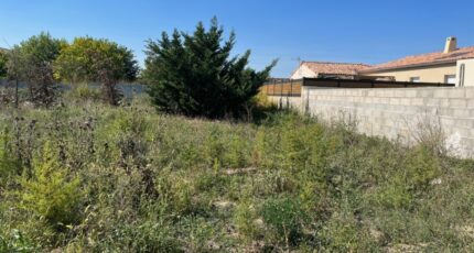Pierrelatte Terrain à bâtir - 2538557-6150annonce120231221fPznA.jpeg Maisons France Confort