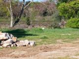 Maison à construire à Saint-Brès (34670) 2539498-3243annonce120260608n5pwE.jpeg Maisons France Confort