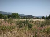 Terrain à bâtir à Cuers (83390) 2539691-10122annonce120260608SAtQK.jpeg Maisons France Confort