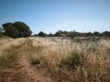 Terrain à bâtir à Cuers (83390) 2539691-10122annonce220260608DvgQ8.jpeg Maisons France Confort