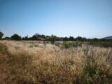 Terrain à bâtir à Cuers (83390) 2539691-10122annonce4202606083coip.jpeg Maisons France Confort