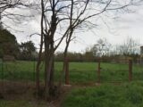 Terrain à bâtir à Nailloux (31560) 2535950-5771annonce120260605G7gOM.jpeg Maisons France Confort