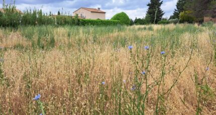 Lambesc Maison neuve - 2540099-11041annonce320260608krxWs.jpeg Maisons France Confort