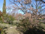 Terrain à bâtir à Garéoult (83136) 2540188-5922annonce320260609Gyqdn.jpeg Maisons France Confort