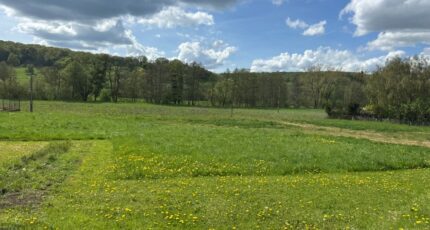 Thionville Terrain à bâtir - 2594754-5139annonce12026080236LQg.jpeg Maisons France Confort
