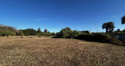 Puget-sur-Argens Terrain à bâtir - 2600669-4529annonce22026081127V7B.jpeg Maisons France Confort