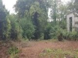 Maison à construire à Pessac (33600) 2558680-11594annonce120260622qZo6Q.jpeg Maisons France Confort