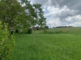 Maison neuve à Distroff (57925) 2608322-5140annonce120260825VXTvZ.jpeg Maisons France Confort