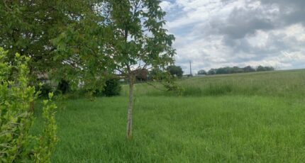 Distroff Maison neuve - 2608322-5140annonce120260825VXTvZ.jpeg Maisons France Confort