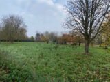 Terrain à bâtir à Fretin (59273) 2589041-10063annonce2202607233B34R.jpeg Maisons France Confort