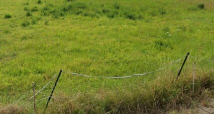 Cysoing Maison neuve - 2589056-10063annonce220260723HZVa6.jpeg Maisons France Confort