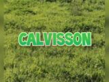 Terrain à bâtir à Calvisson (30420) 2553979-3243annonce220260617hXwEK.jpeg Maisons France Confort