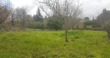 Villeneuve-Tolosane Maison neuve - 2559875-10326annonce1202606221QURW.jpeg Maisons France Confort