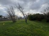 Maison à construire à Plaisance-du-Touch (31830) 2566362-9555annonce120260626Dsgdw.jpeg Maisons France Confort