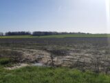 Terrain à bâtir à Grenade (31330) 2568367-5202annonce320260629VipIb.jpeg Maisons France Confort
