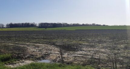 Grenade Terrain à bâtir - 2568367-5202annonce320260629VipIb.jpeg Maisons France Confort