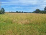 Terrain à bâtir à Sainte-Livrade (31530) 2568710-3575annonce2202606300yz77.jpeg Maisons France Confort