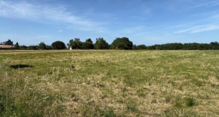 Mirepoix-sur-Tarn Terrain à bâtir - 2568070-11356annonce3202606299PkqN.jpeg Maisons France Confort