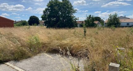 Dieupentale Maison neuve - 2570813-11913annonce120260701gIn80.jpeg Maisons France Confort