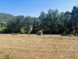 Terrain à bâtir à Salernes (83690) 2573856-4529annonce220260703eWqT7.jpeg Maisons France Confort