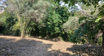 Saint-Savournin Maison neuve - 2574218-11680annonce320260704Rihw3.jpeg Maisons France Confort