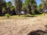 Terrain à bâtir à Roquebrune-sur-Argens (83520) 2575499-10295annonce120260706WHta2.jpeg Maisons France Confort