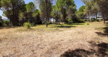 Roquebrune-sur-Argens Terrain à bâtir - 2575499-10295annonce120260706WHta2.jpeg Maisons France Confort