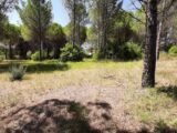 Terrain à bâtir à Roquebrune-sur-Argens (83520) 2575499-10295annonce220260706BZN6G.jpeg Maisons France Confort