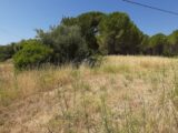 Terrain à bâtir à Roquebrune-sur-Argens (83520) 2575499-10295annonce320260706xFf4o.jpeg Maisons France Confort