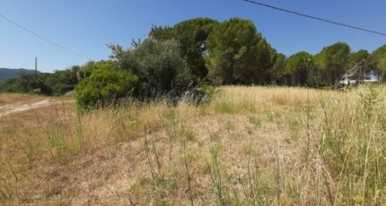 Roquebrune-sur-Argens Maison neuve - 2575723-10295annonce320260706xFf4o.jpeg Maisons France Confort