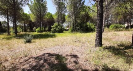 Roquebrune-sur-Argens Maison neuve - 2575736-10295annonce220260706BZN6G.jpeg Maisons France Confort