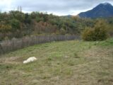 Terrain à bâtir à Prades (66500) 2577767-666annonce120260708WXbb6.jpeg Maisons France Confort