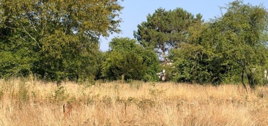 Terrain à bâtir à Le Taillan-Médoc, Nouvelle-Aquitaine