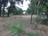 Terrain à bâtir à Orgueil (82370) 2575941-5202annonce220260706L4Tbu.jpeg Maisons France Confort