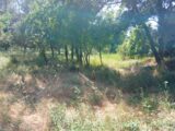 Maison à construire à Garéoult (83136) 2580065-10122annonce220260710fEPDL.jpeg Maisons France Confort