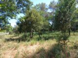 Maison à construire à Garéoult (83136) 2579975-10122annonce120260710zhTFT.jpeg Maisons France Confort
