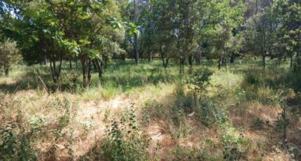 Garéoult Maison neuve - 2580080-10122annonce3202607105VRpz.jpeg Maisons France Confort