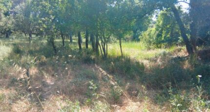 Garéoult Terrain à bâtir - 2579968-10122annonce220260710fEPDL.jpeg Maisons France Confort