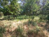 Terrain à bâtir à Garéoult (83136) 2579968-10122annonce3202607105VRpz.jpeg Maisons France Confort