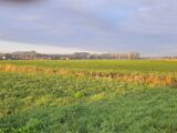 Terrain à bâtir à Râches (59194) 2579906-11632annonce220260710N3Sf9.jpeg Maisons France Confort