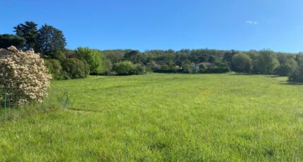 Tauriac Maison neuve - 2578528-11913annonce220260708nZUcn.jpeg Maisons France Confort