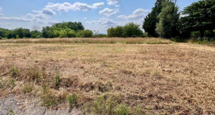 Replonges Terrain à bâtir - 2547030-754annonce120260612tt4BU.jpeg Maisons France Confort