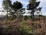 Terrain à bâtir à Draguignan (83300) 2545517-10295annonce120260121vLmXc.jpeg Maisons France Confort
