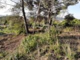 Terrain à bâtir à Draguignan (83300) 2545517-10295annonce32026012162qok.jpeg Maisons France Confort