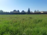 Terrain à bâtir à Canals (82170) 2584217-5202annonce220260717TGgxF.jpeg Maisons France Confort