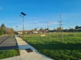 Terrain à bâtir à Rieumes (31370) 2584519-10326annonce220260717kwvBl.jpeg Maisons France Confort
