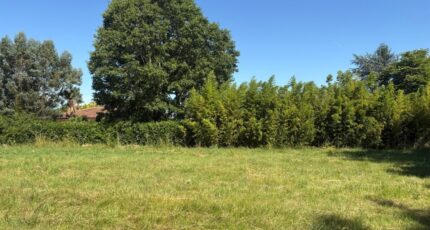 Saint-Sauveur Maison neuve - 2588815-11356annonce120260723Rw08r.jpeg Maisons France Confort