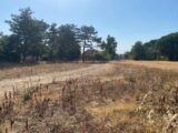 Terrain à bâtir à Montbartier (82700) 2589674-11913annonce220260724qoyMe.jpeg Maisons France Confort